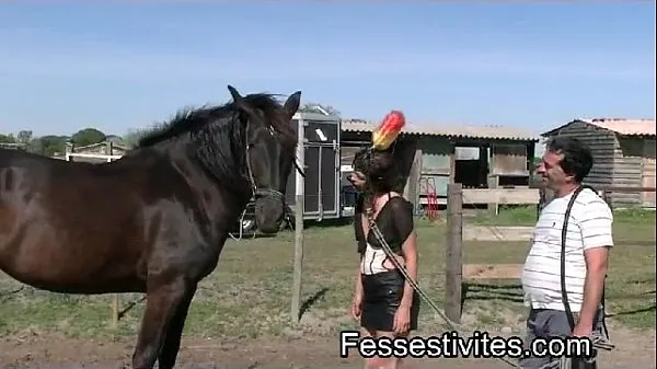 Nuovo Pony-girl en Camargue tubo superiore