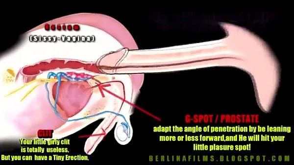 Tubo superior anatomia transexual fresco