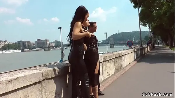 Φρέσκο ​​Slave d. by the Budapest river top Tube