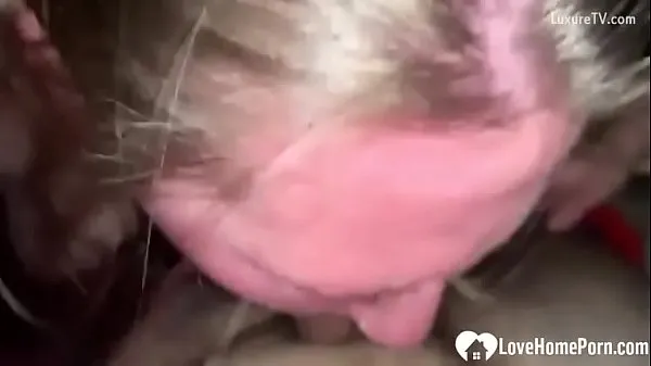 Fresh Horny girls share a dick top Tube